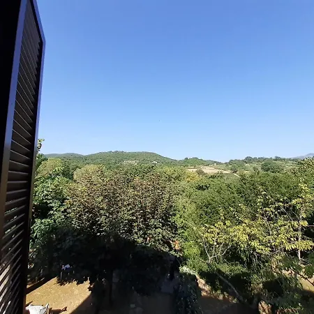 Le Palmine Casa vacanze