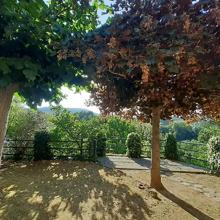 Le Palmine Casa vacanze Palazzone