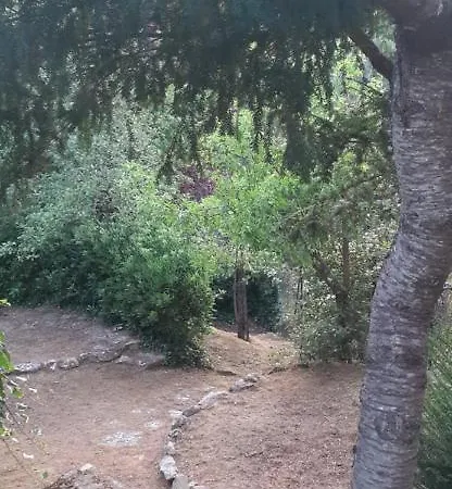 Le Palmine Casa vacanze *