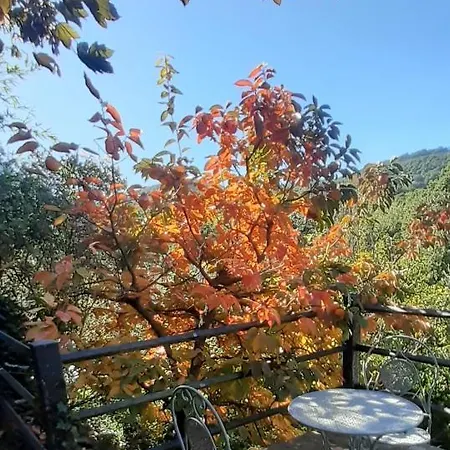 Le Palmine Casa vacanze *