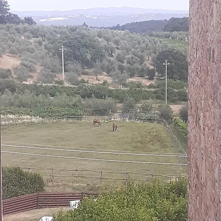 Holiday home Le Palmine
